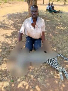 TUMBUKA WARRIOR: MAN KILLS LEOPARD IN SELF DEFENSE