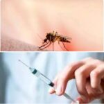 ZAMBIA SET TO LAUNCH NEW MALARIA VACCINE TARGETING YOUNG CHILDREN