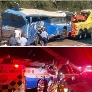 ATLEAST 42 DEAD IN HORRIFIC N1 BUS CRASH IN LIMPOPO, SOUTH AFRICA