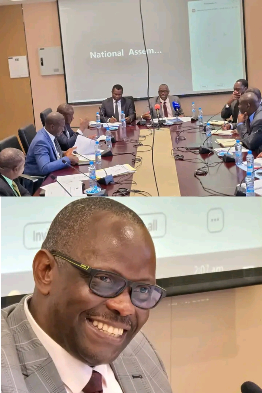 ENERGY MINISTER PRESENTS 2026 BUDGET PLAN TO THE PARLIAMENTARY COMMITTEE