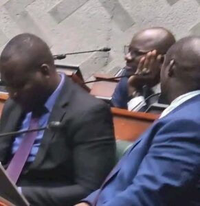 BILL 7 PROCESS ILLEGAL, WORST DECISION FOR ZAMBIA–BINWELL MPUNDU