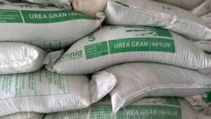 GOVERNMENT ASSURED ENOUGH UREA FOR FARMING SEASON DESPITE GLOBAL SUPPLY DISRUPTION