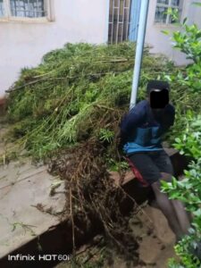 ZAMBIA’S DRUG ENFORCEMENT COMMISSION ARRESTS MULTI SUSPECTS IN NATIONWIDE CRACKDOWN