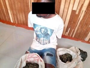 TWO ARRESTED IN SEPARATE DRUG TRAFFICKING CASES