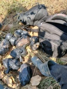 DEC SEIZES 20.4KG OF CANNABIS, ARRESTS THREE