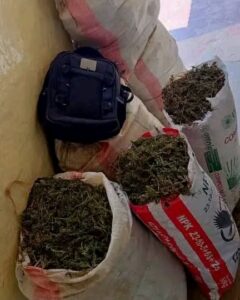DEC ARRESTS TWO SUSPECTS AND SEIZES 175 KG OF CANNABIS IN EASTERN PROVINCE